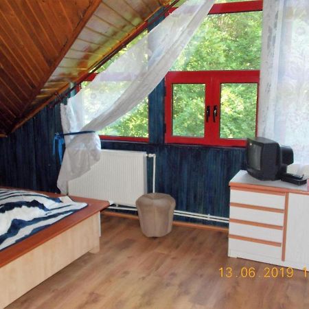 Hotel Barlogul Ursilor Lepşa Extérieur photo
