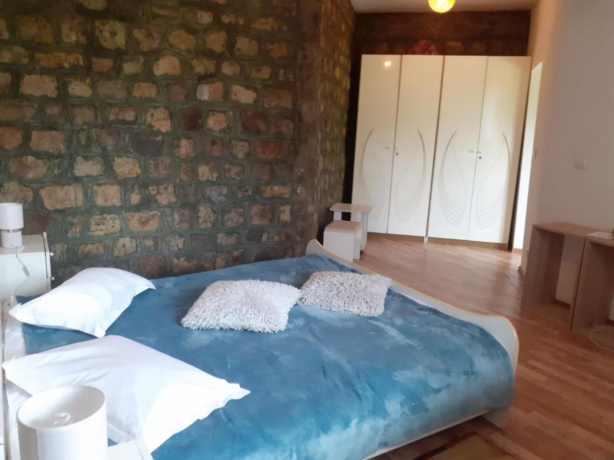 Hotel Barlogul Ursilor Lepşa Extérieur photo