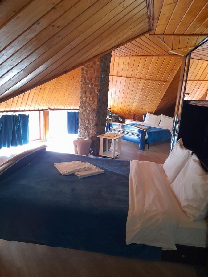 Hotel Barlogul Ursilor Lepşa Extérieur photo