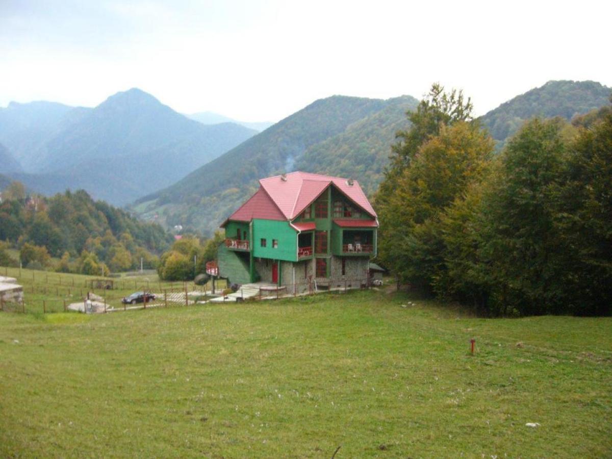Hotel Barlogul Ursilor Lepşa Extérieur photo