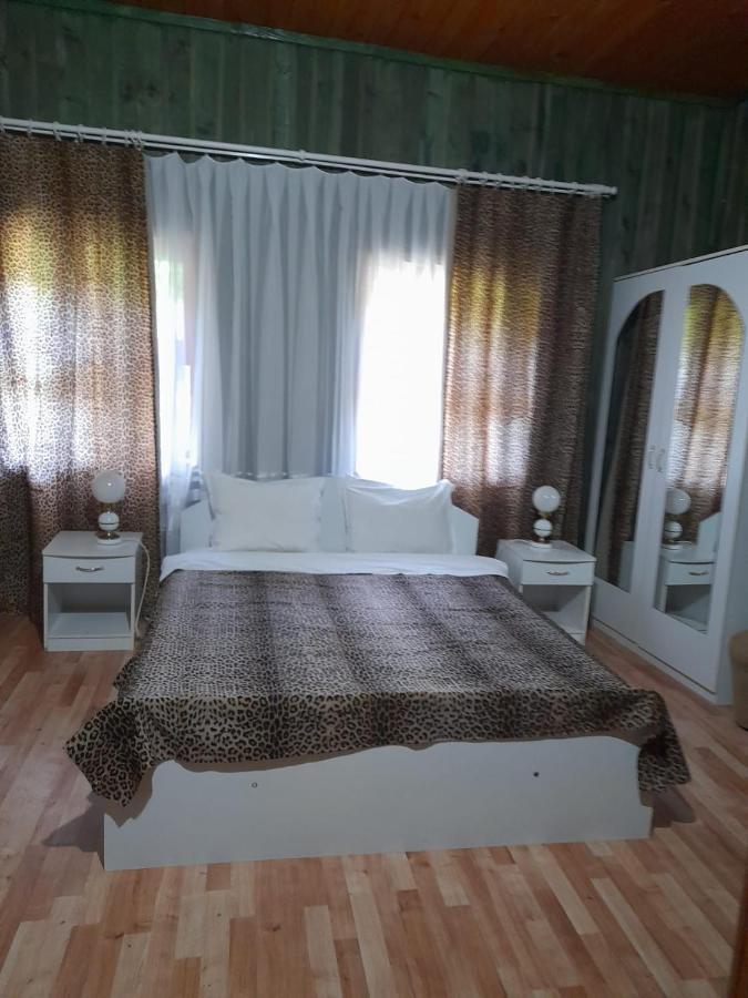 Hotel Barlogul Ursilor Lepşa Extérieur photo