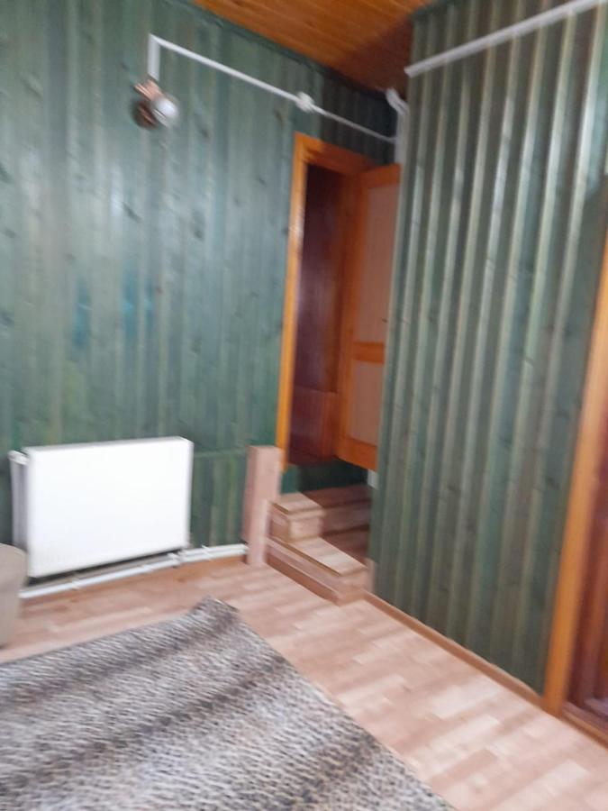 Hotel Barlogul Ursilor Lepşa Extérieur photo