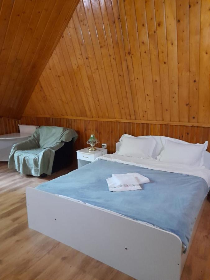 Hotel Barlogul Ursilor Lepşa Extérieur photo