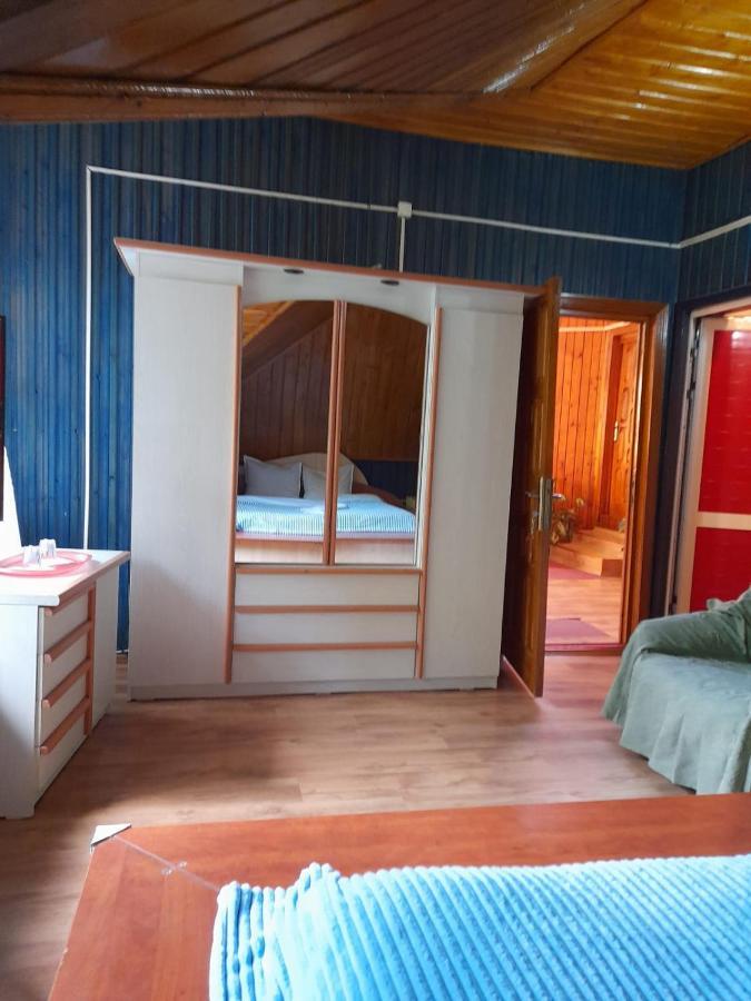 Hotel Barlogul Ursilor Lepşa Extérieur photo