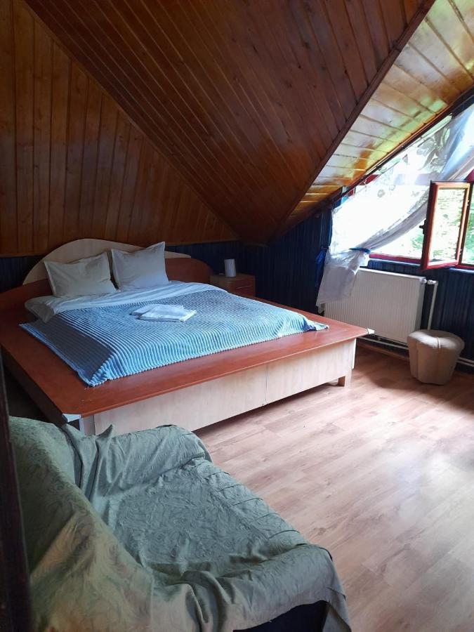 Hotel Barlogul Ursilor Lepşa Extérieur photo