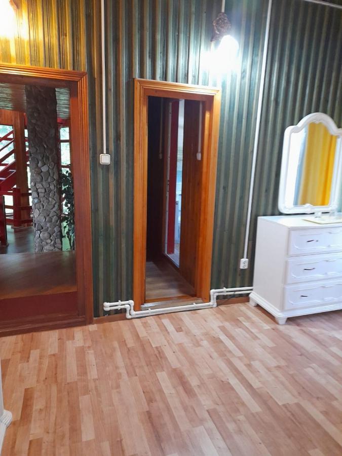 Hotel Barlogul Ursilor Lepşa Extérieur photo