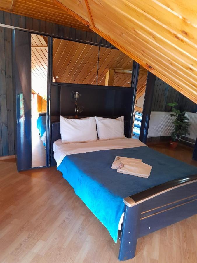 Hotel Barlogul Ursilor Lepşa Extérieur photo
