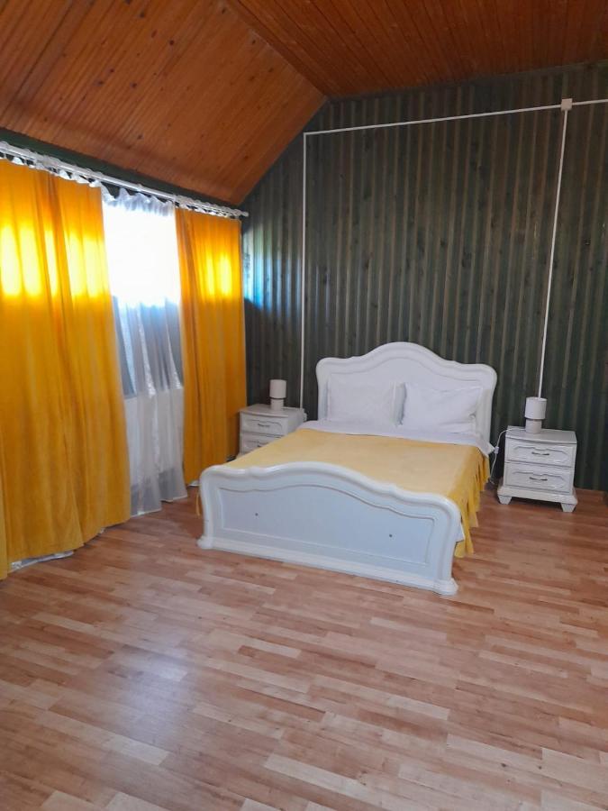 Hotel Barlogul Ursilor Lepşa Extérieur photo