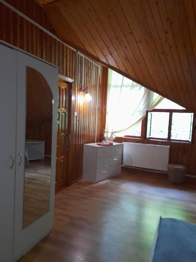 Hotel Barlogul Ursilor Lepşa Extérieur photo