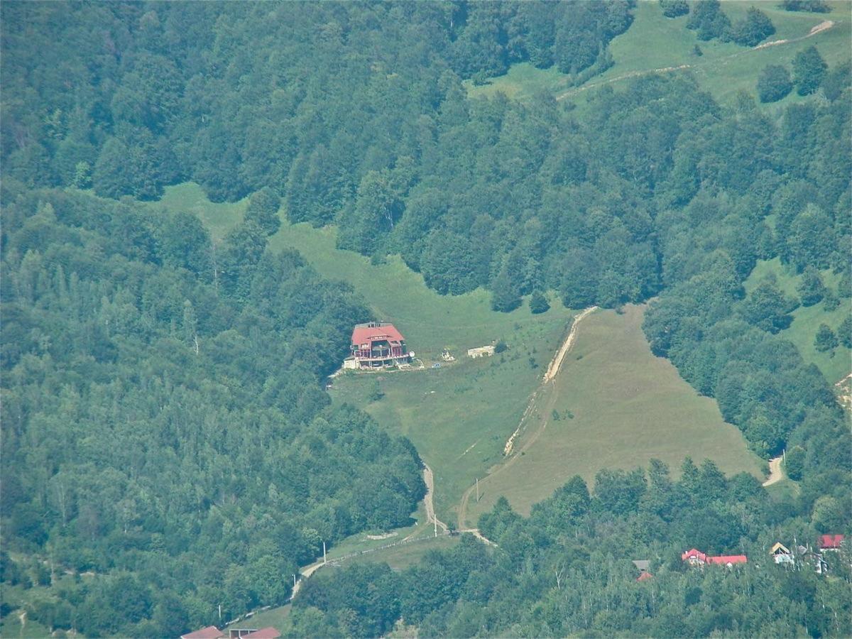 Hotel Barlogul Ursilor Lepşa Extérieur photo