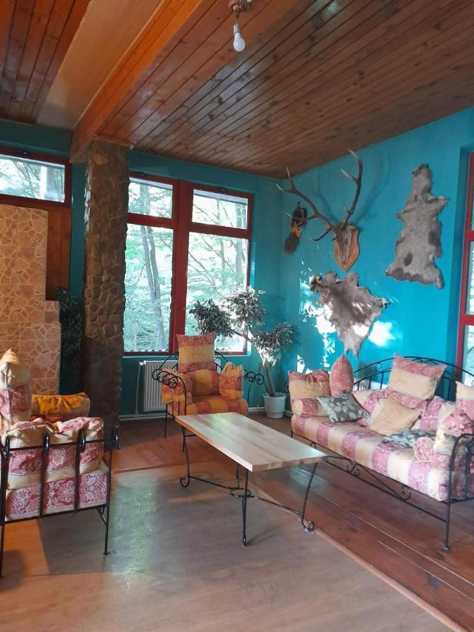 Hotel Barlogul Ursilor Lepşa Extérieur photo