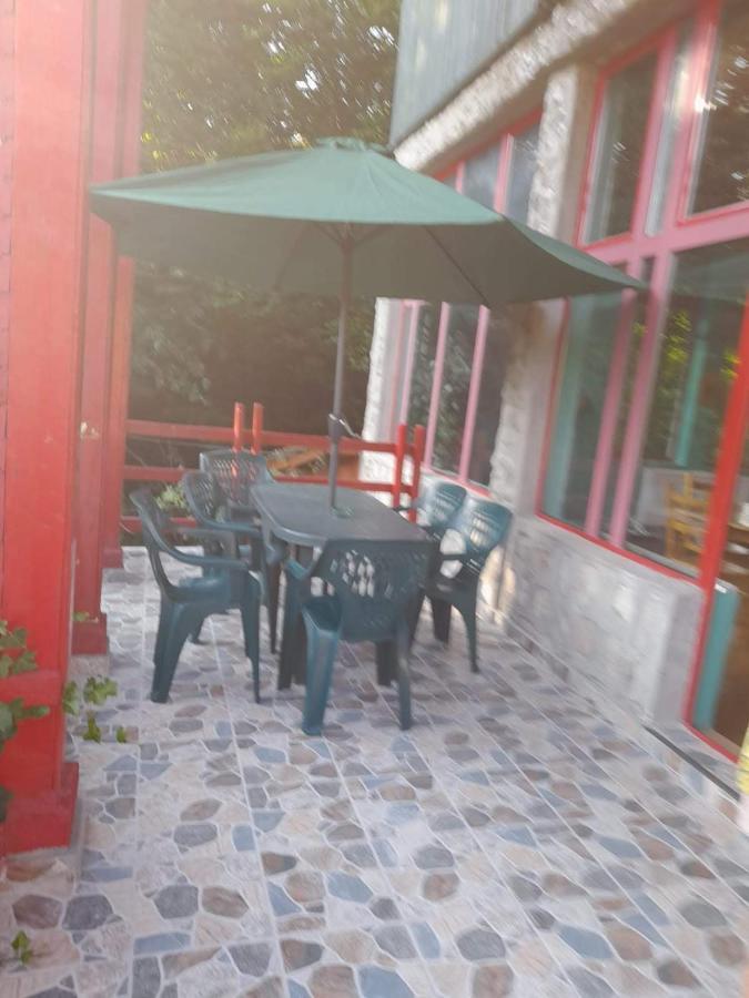 Hotel Barlogul Ursilor Lepşa Extérieur photo