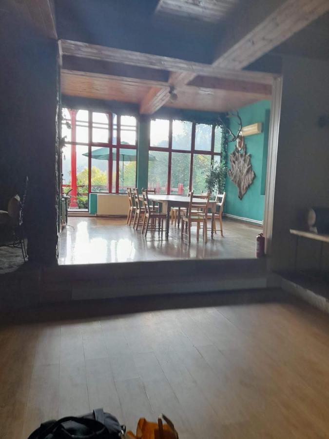 Hotel Barlogul Ursilor Lepşa Extérieur photo