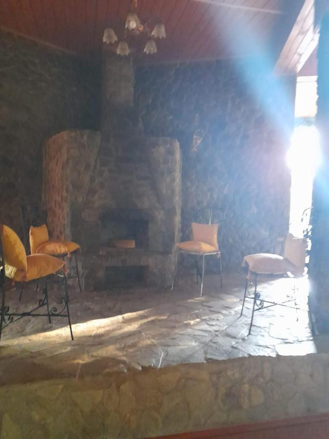 Hotel Barlogul Ursilor Lepşa Extérieur photo