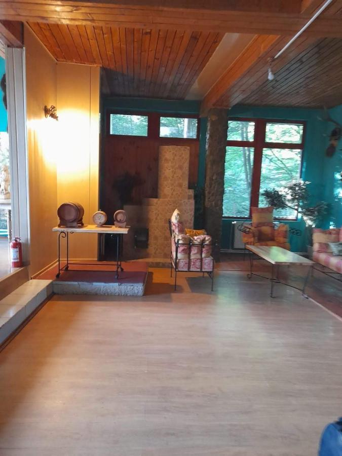 Hotel Barlogul Ursilor Lepşa Extérieur photo