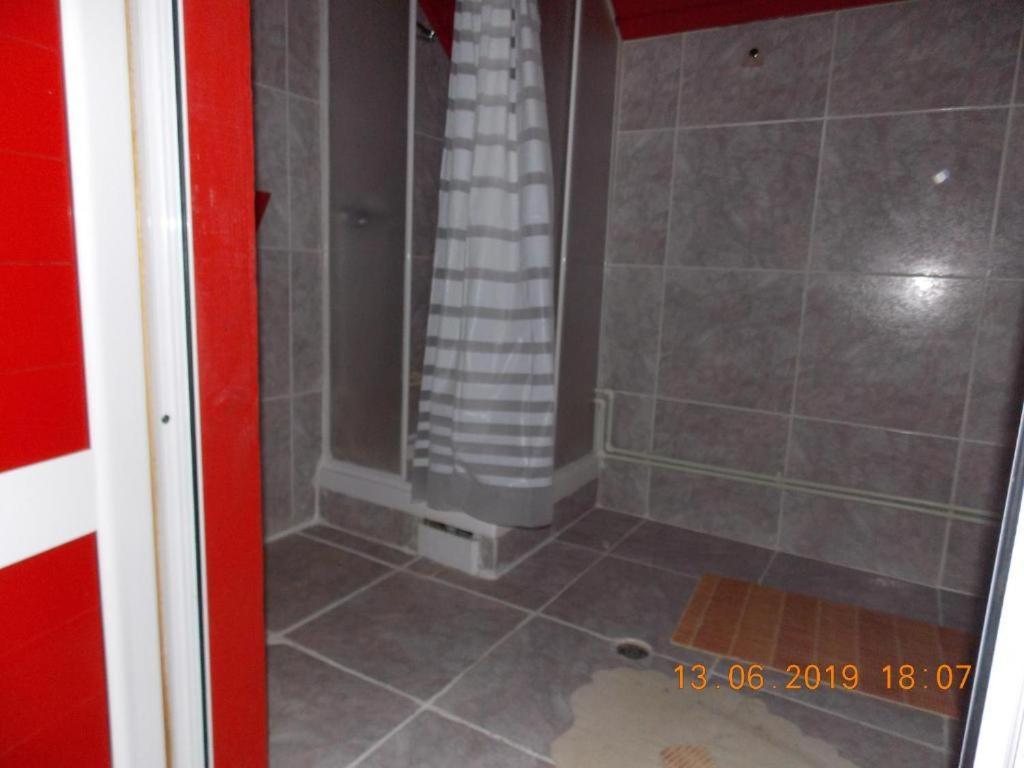 Hotel Barlogul Ursilor Lepşa Extérieur photo