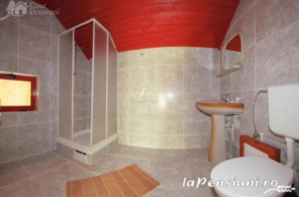 Hotel Barlogul Ursilor Lepşa Extérieur photo