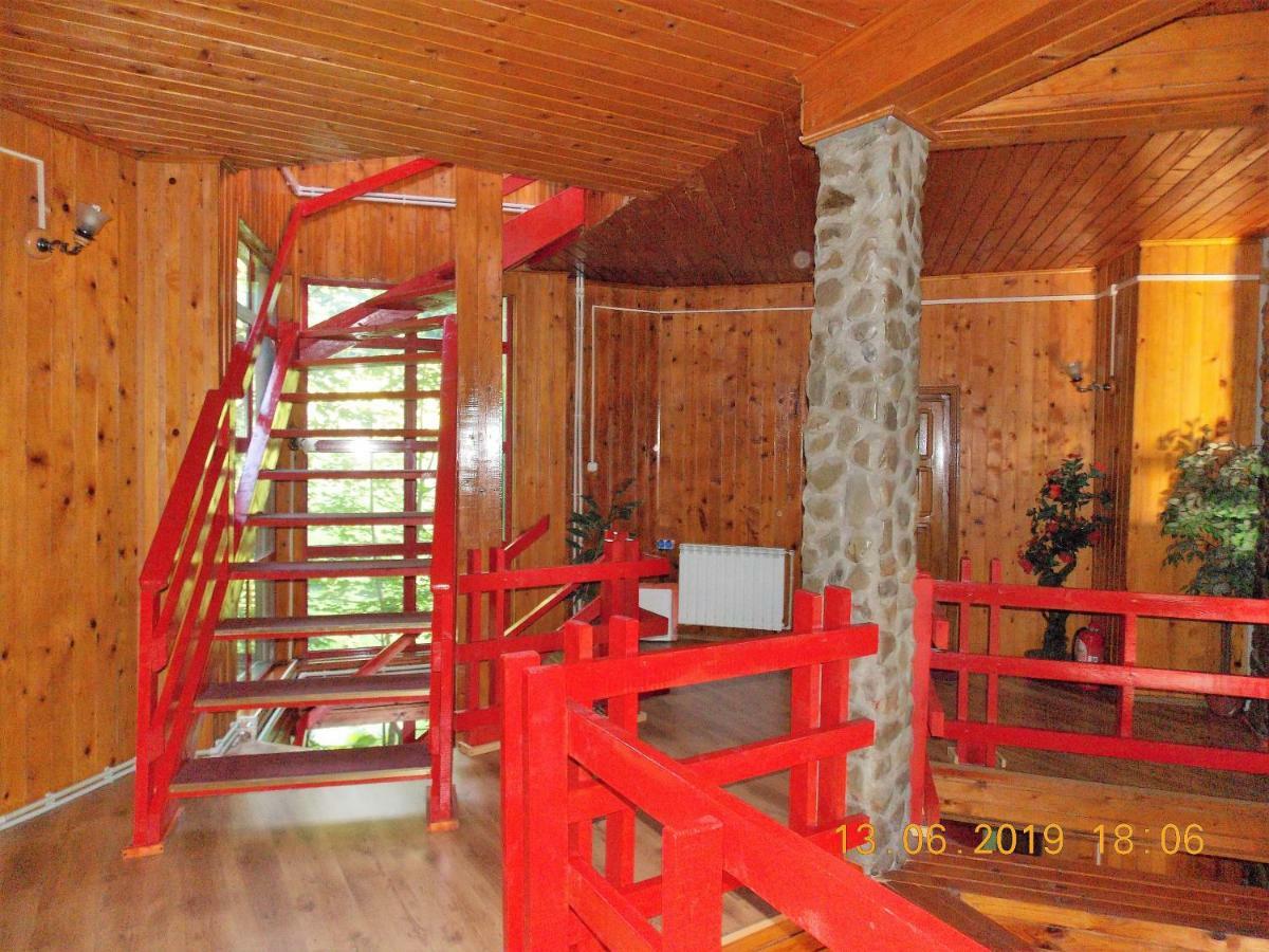 Hotel Barlogul Ursilor Lepşa Extérieur photo