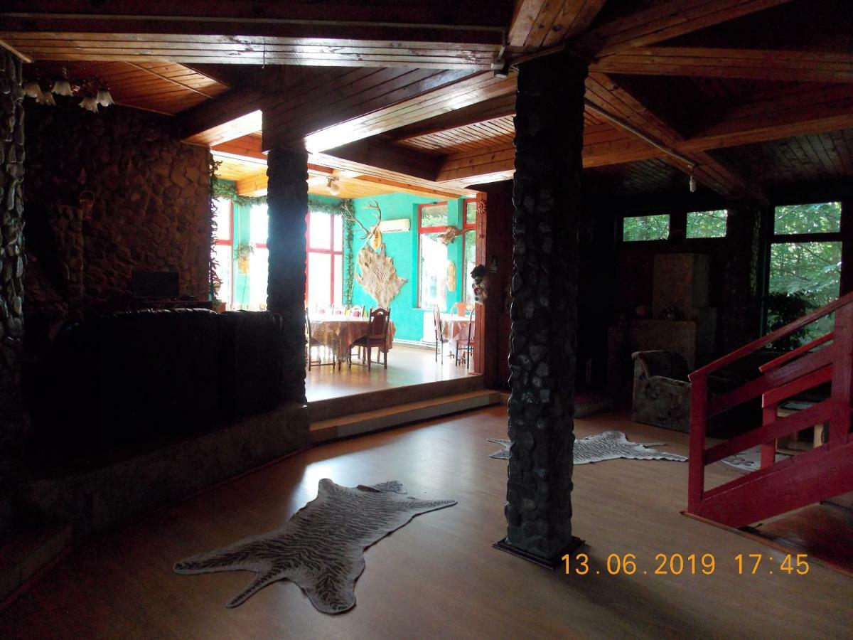Hotel Barlogul Ursilor Lepşa Extérieur photo